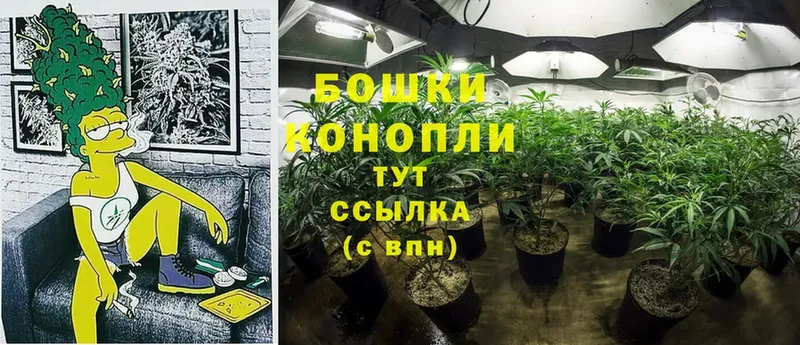 закладка  Талдом  маркетплейс как зайти  Конопля OG Kush 